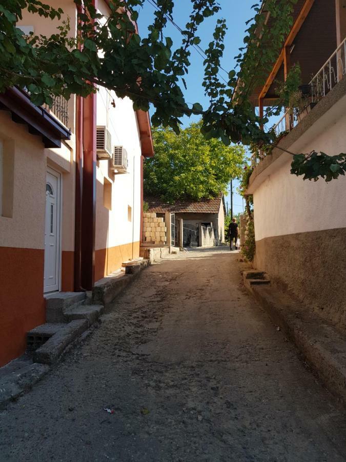 Stavrov Apartment Negotin Dış mekan fotoğraf